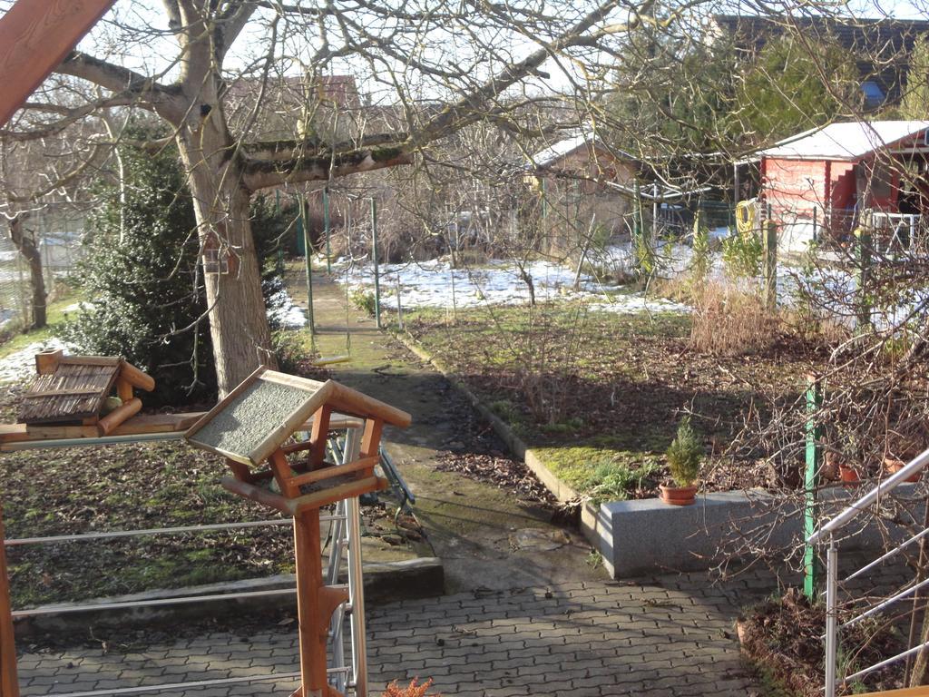 Chez Jpzen Nowicki Bed and Breakfast Freyming-Merlebach Buitenkant foto